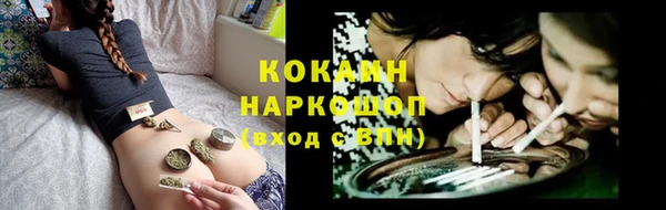 тгк Магас