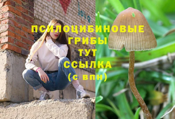 тгк Магас