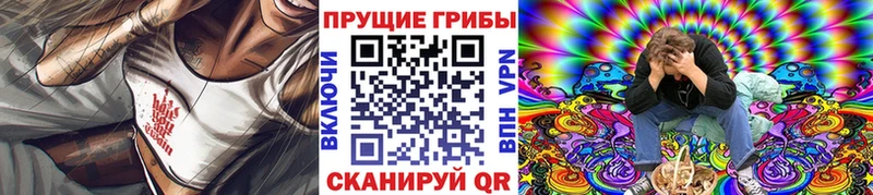 Купить  Новохопёрск  Галлюциногенные грибы Magic Shrooms 